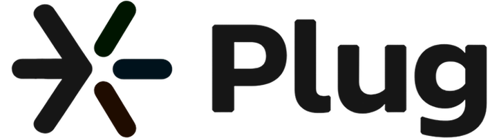 Plug