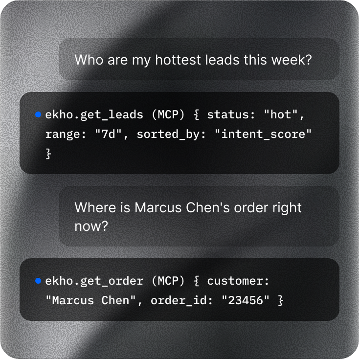 API & MCP