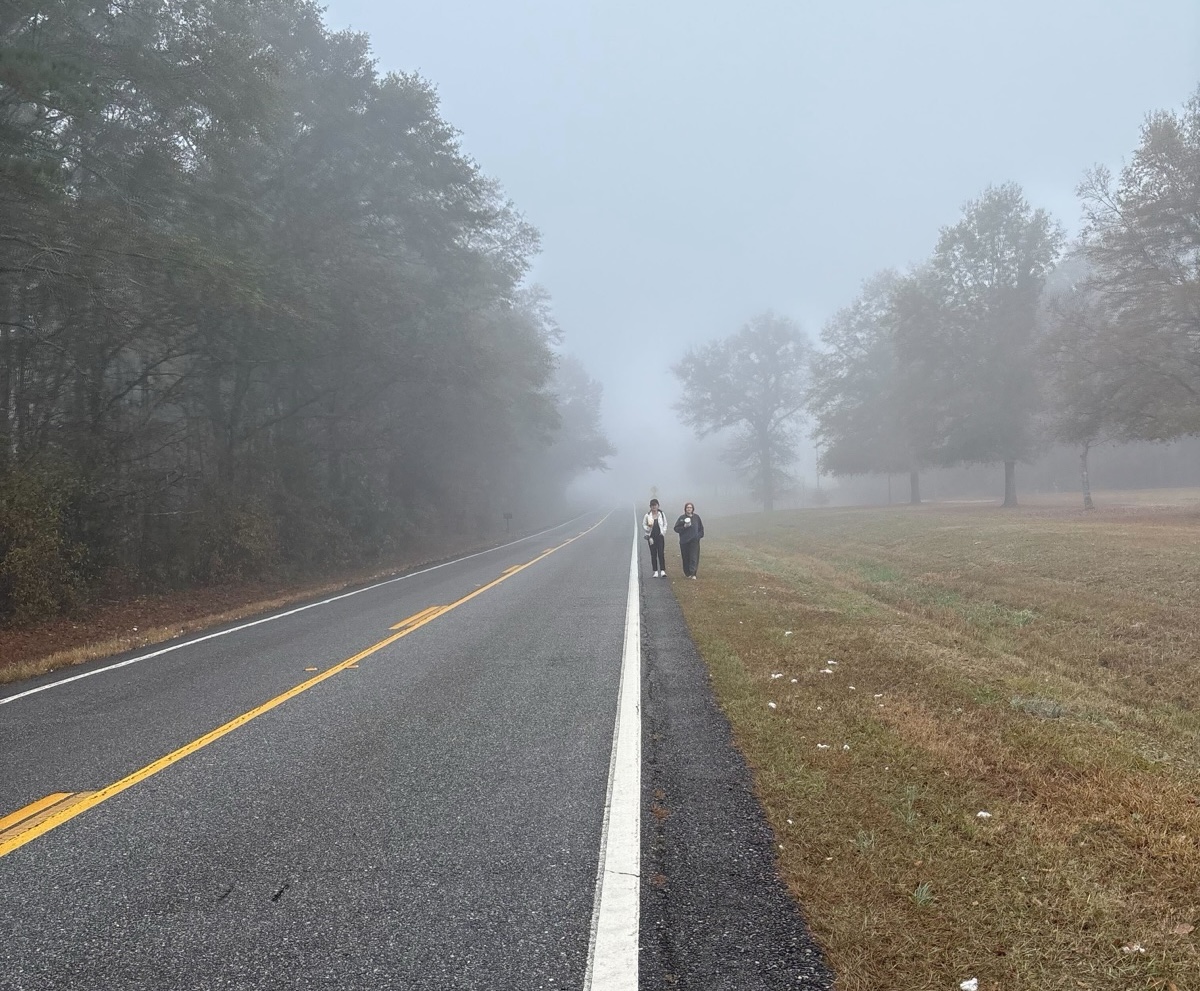 Foggy morning walk
